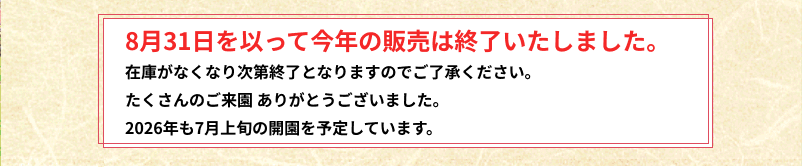 今年の販売は終了致しました。たくさんのご来園ありがとうございました。2026年は7月上旬の開園を予定しています。